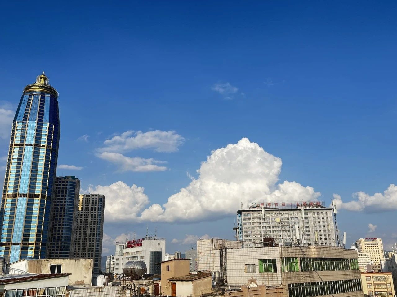 1724399097743115.jpg 12.jpg