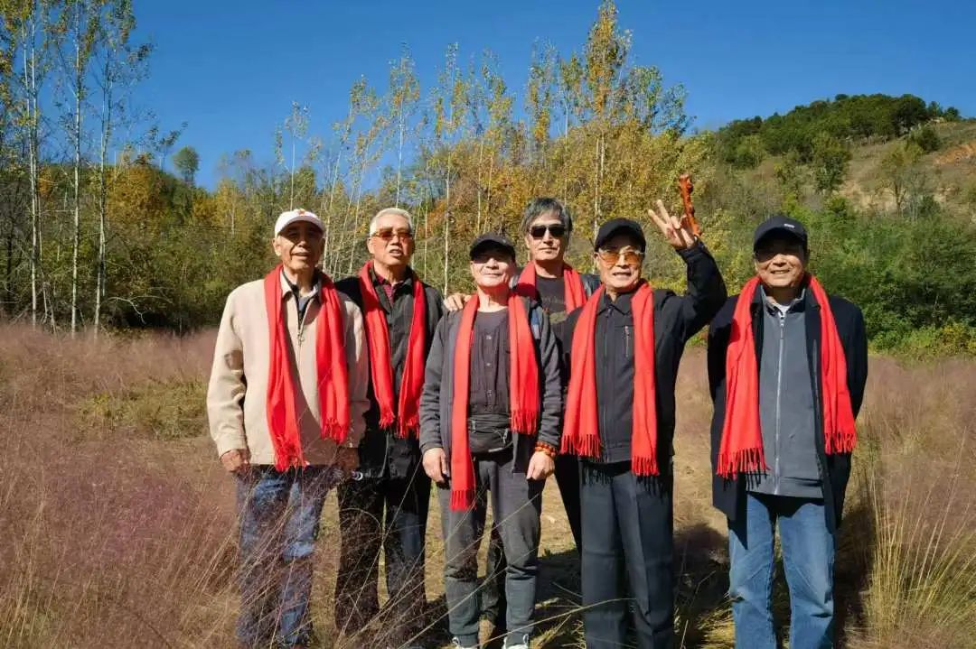 1731479908103495.jpg 2.jpg