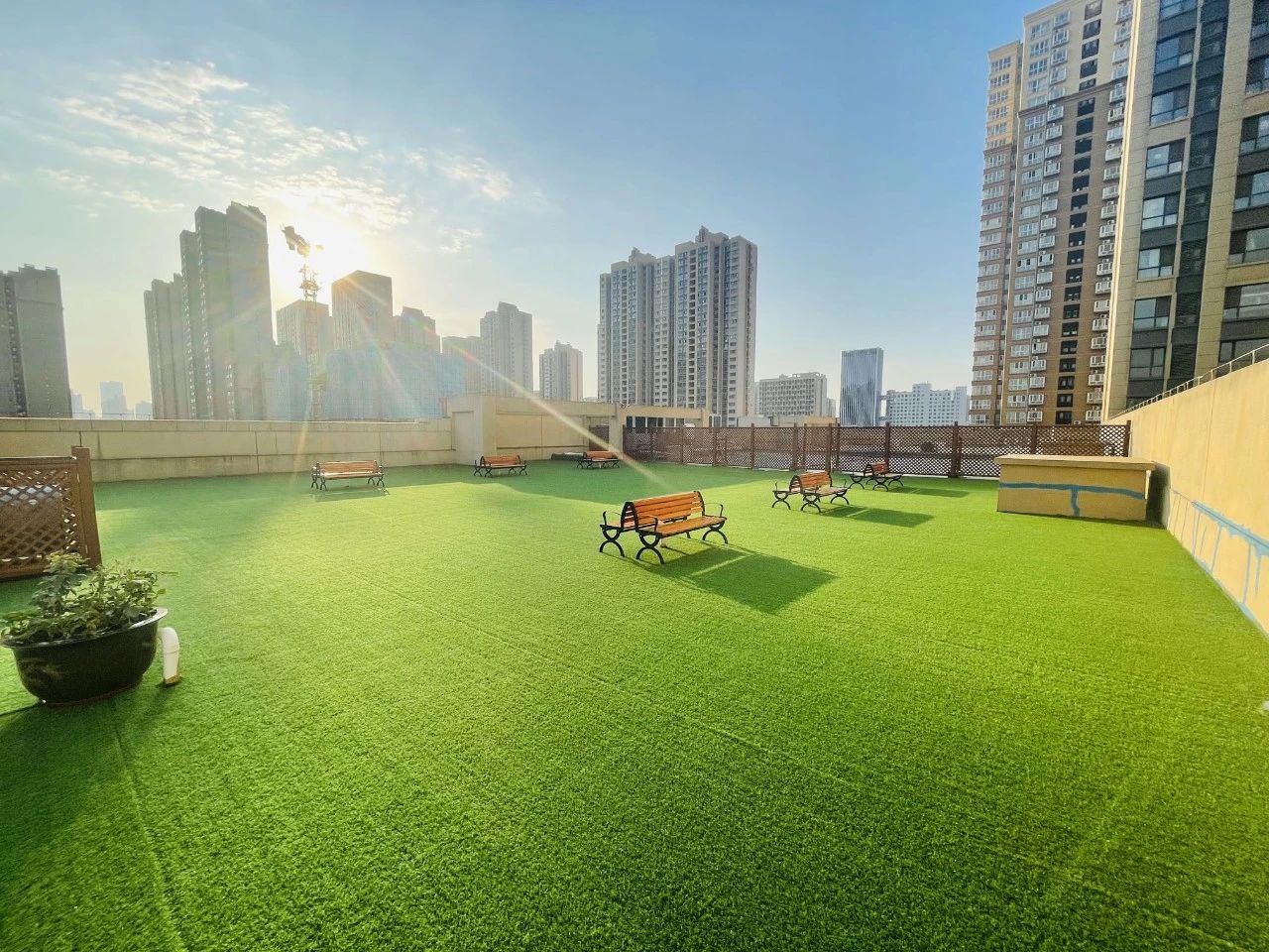 1735179282141574.jpg 12.jpg