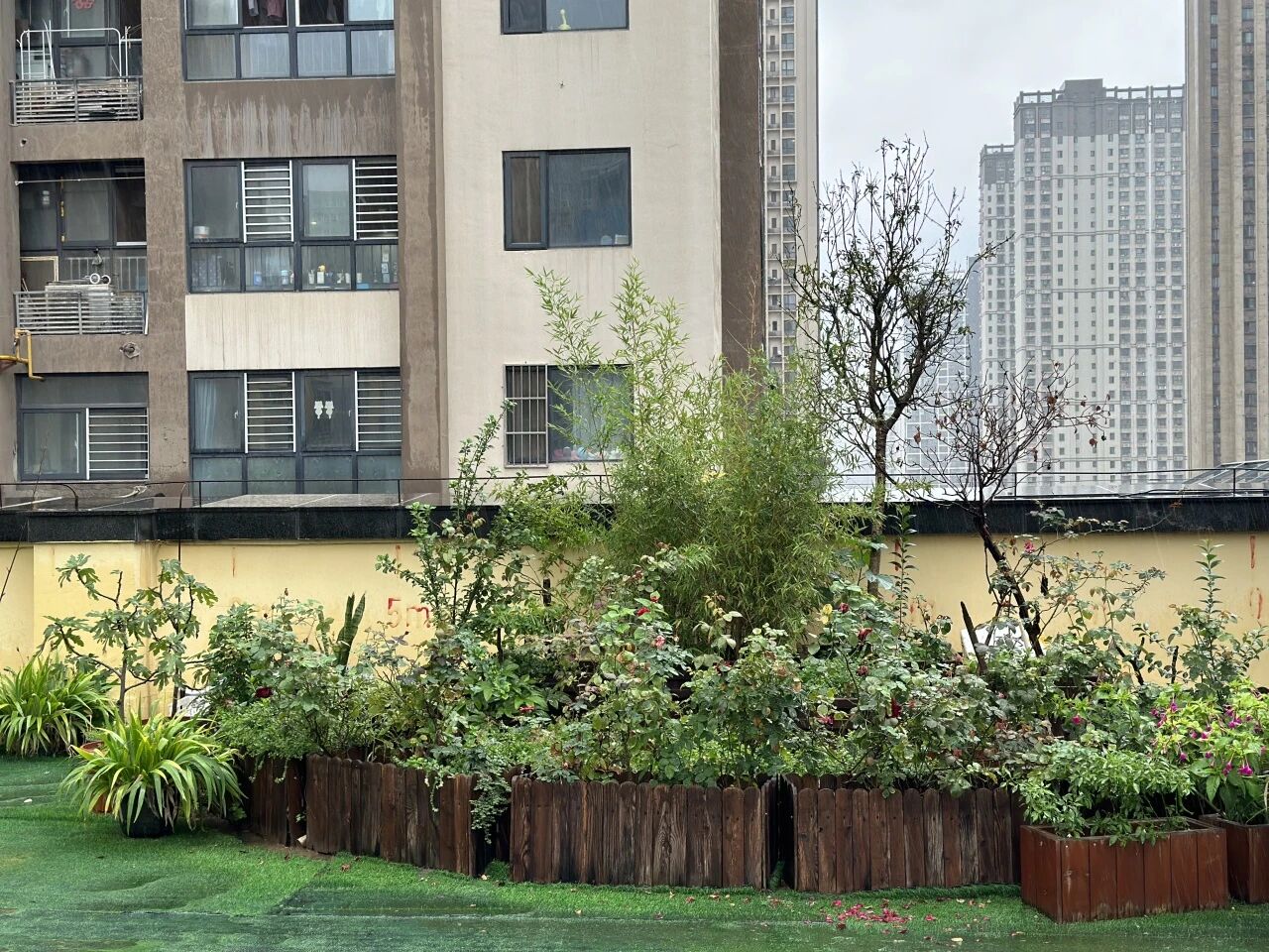 1763429163520426.jpg 16.jpg