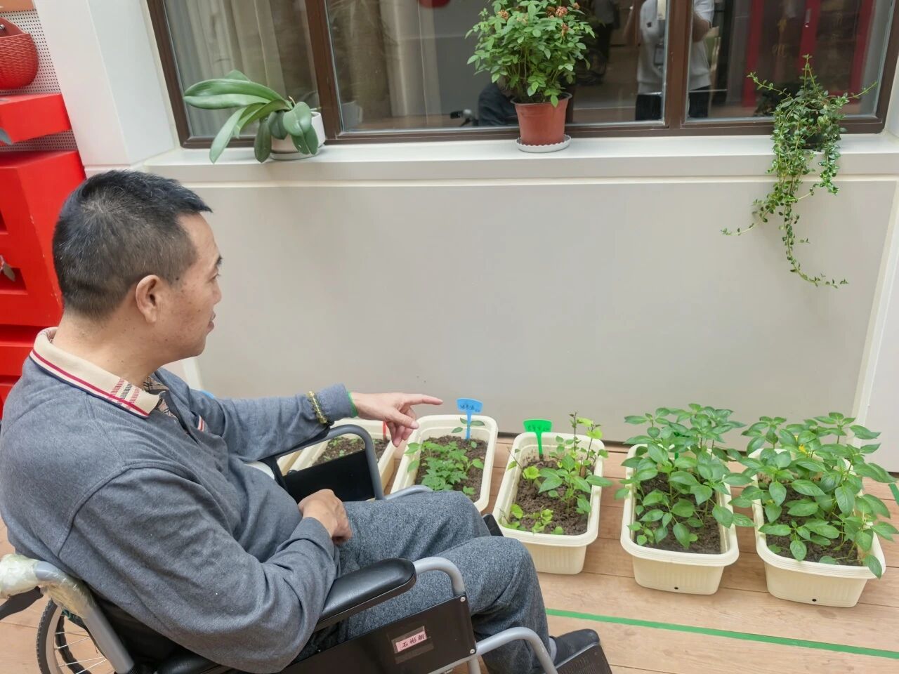 1763429202829050.jpg 17.jpg