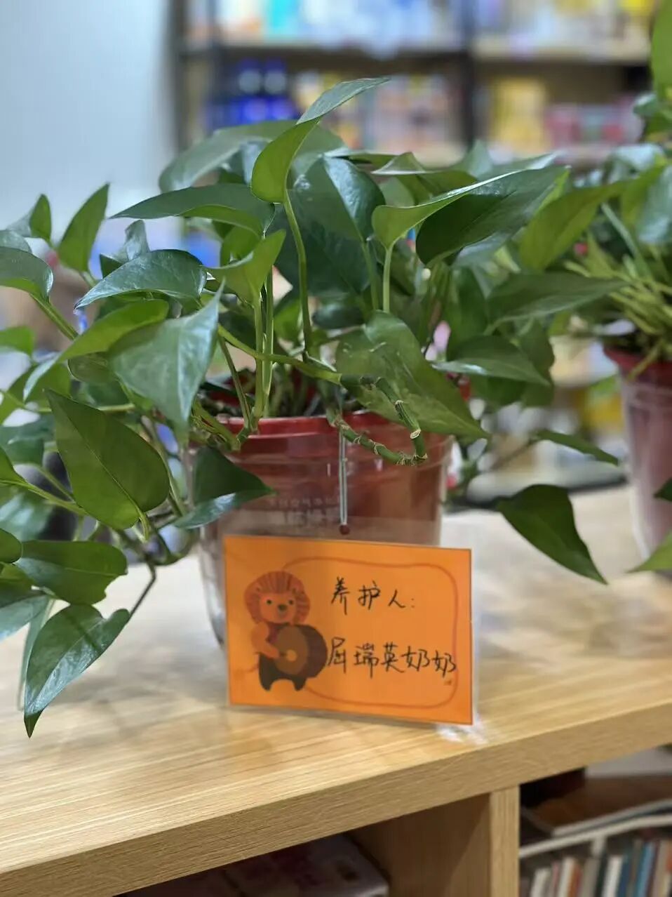 1763429209103921.jpg 18.jpg